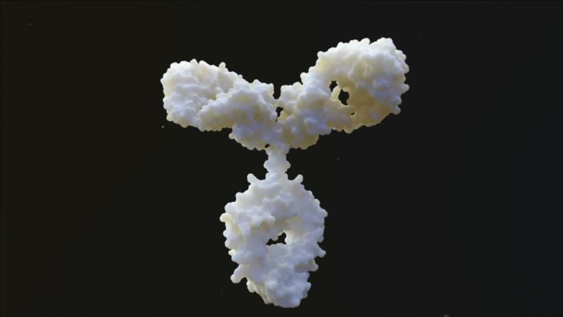 Archive 2011: 3D modelling & Python Molecular Viewer